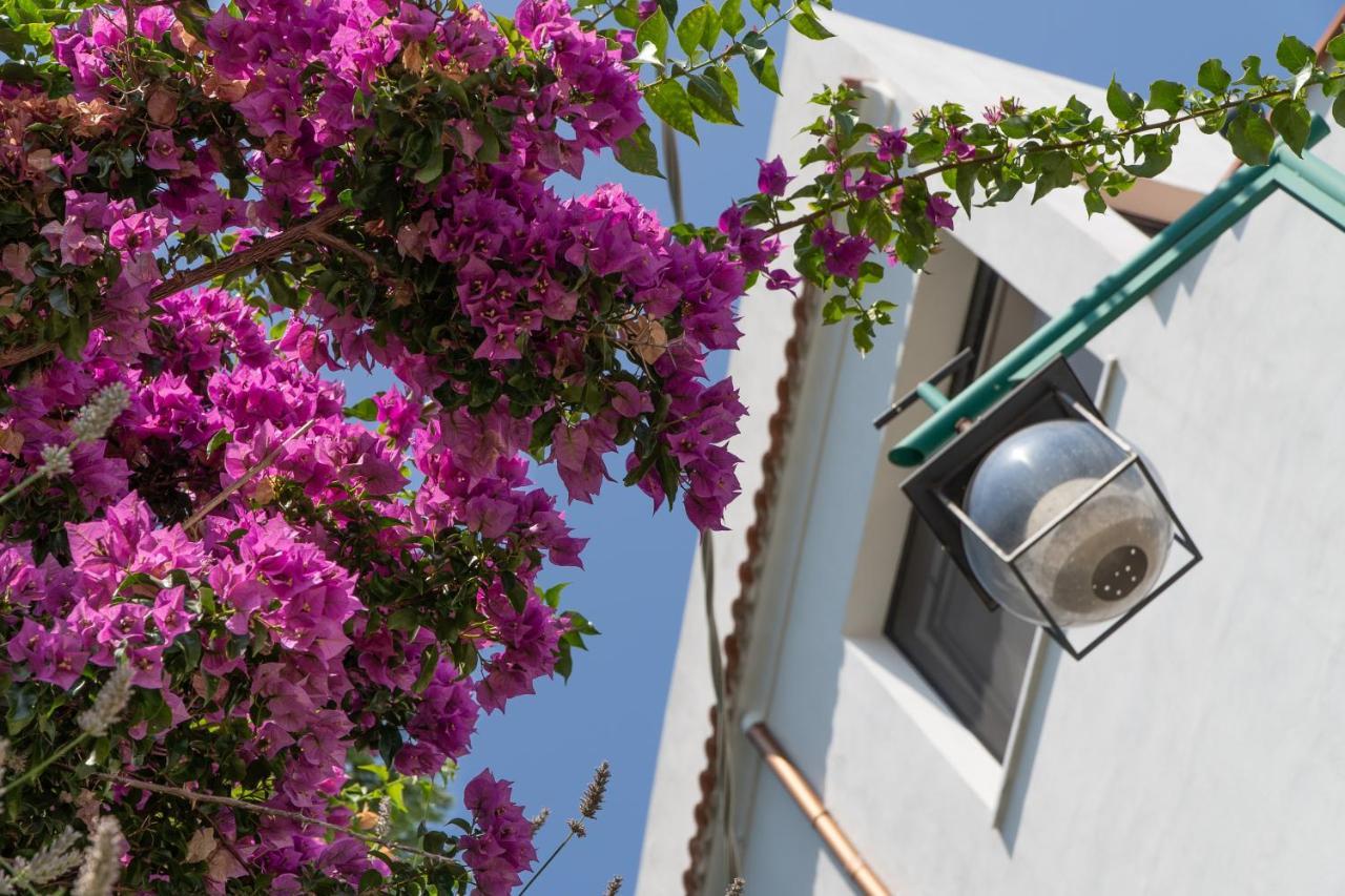 Casa Bianca: Delightful Apartment In 拉维罗 外观 照片